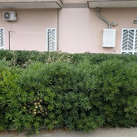 In 
